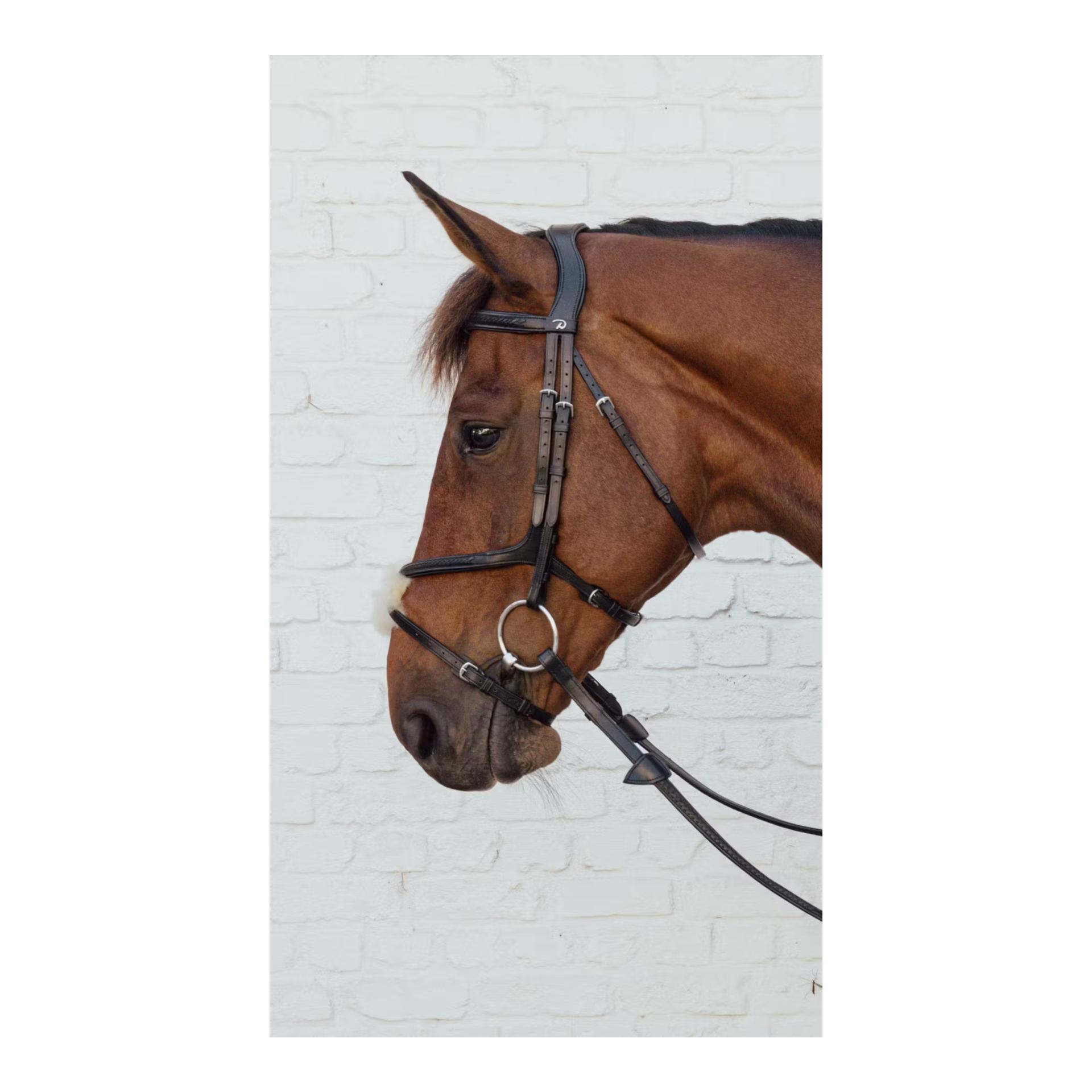 Dy'on Plaited Figure 8 Noseband