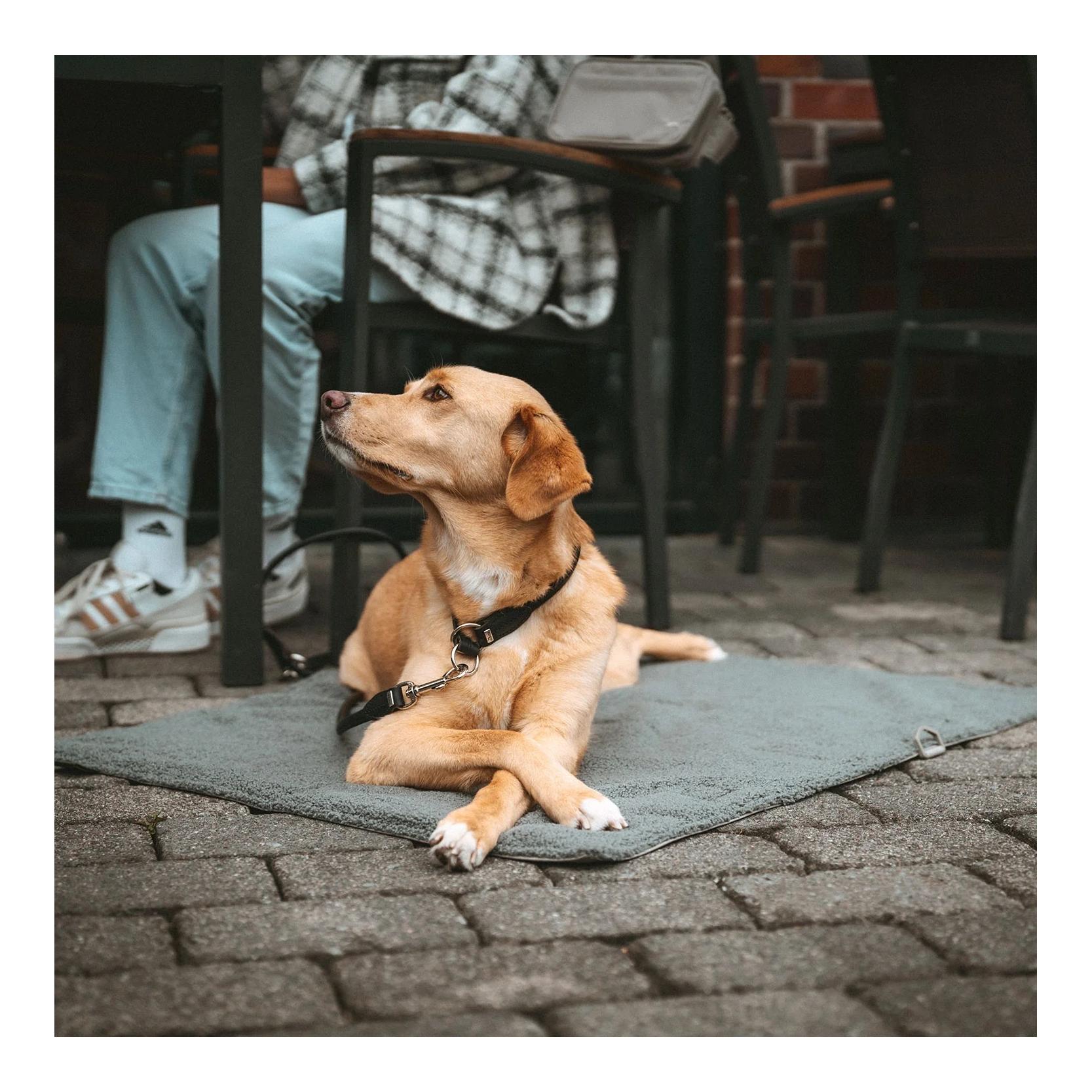 Hunter Faltbare Hunde-Reisedecke Seoul