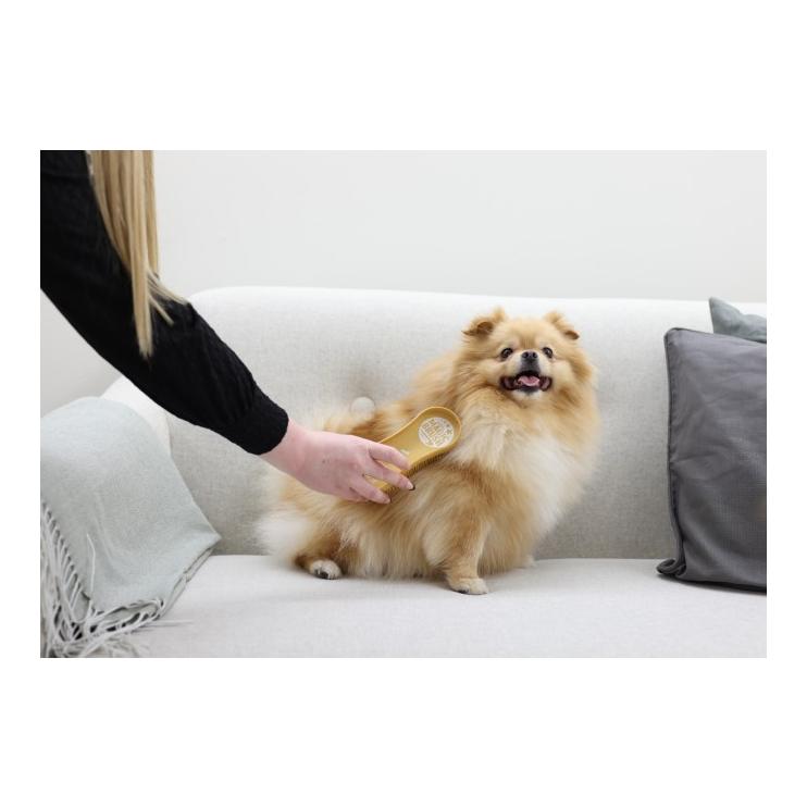 MagicBrush Brosse pour chien Dog Soft