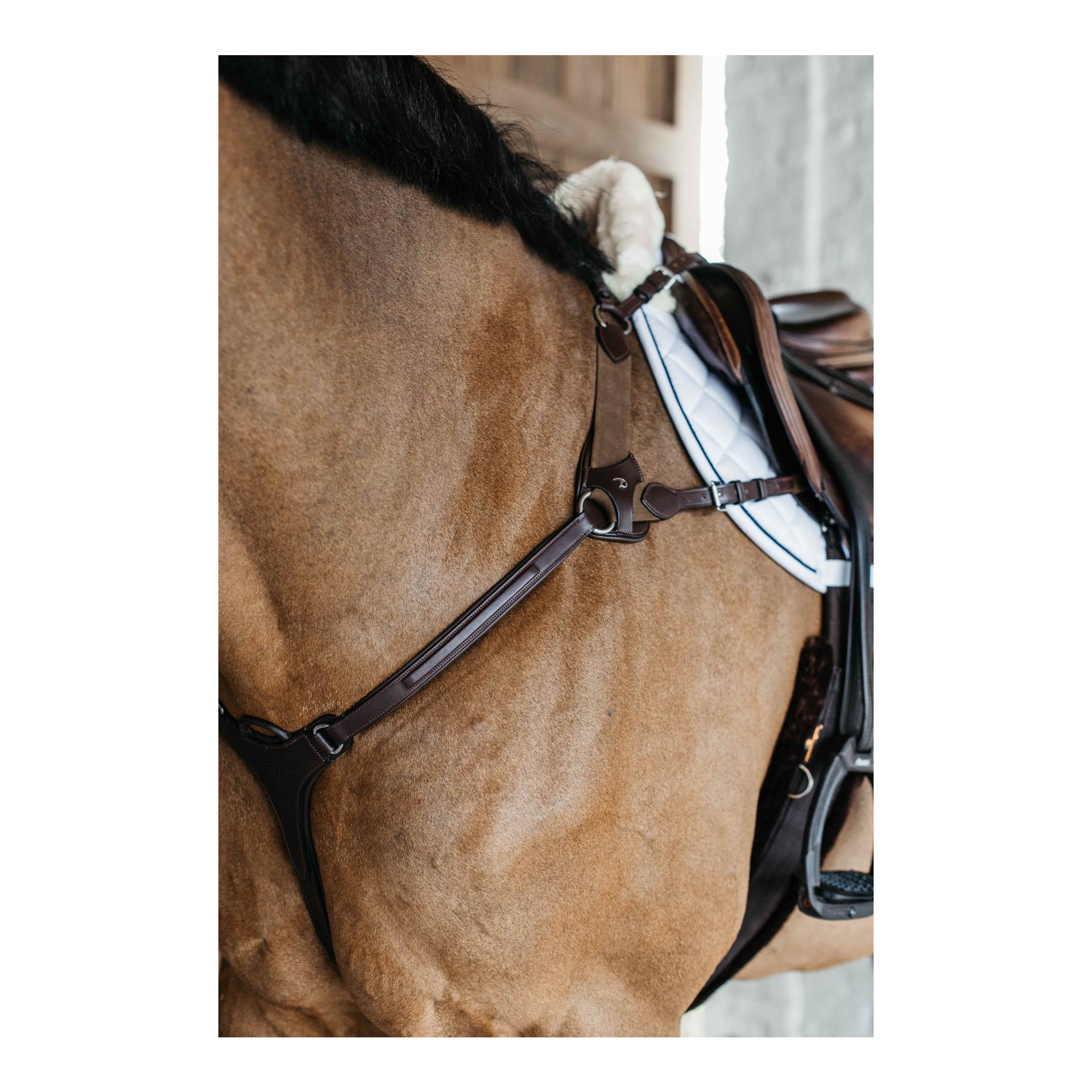 Dy'on Vorgeschirr 5 Punkt mit Elastic New English Collection