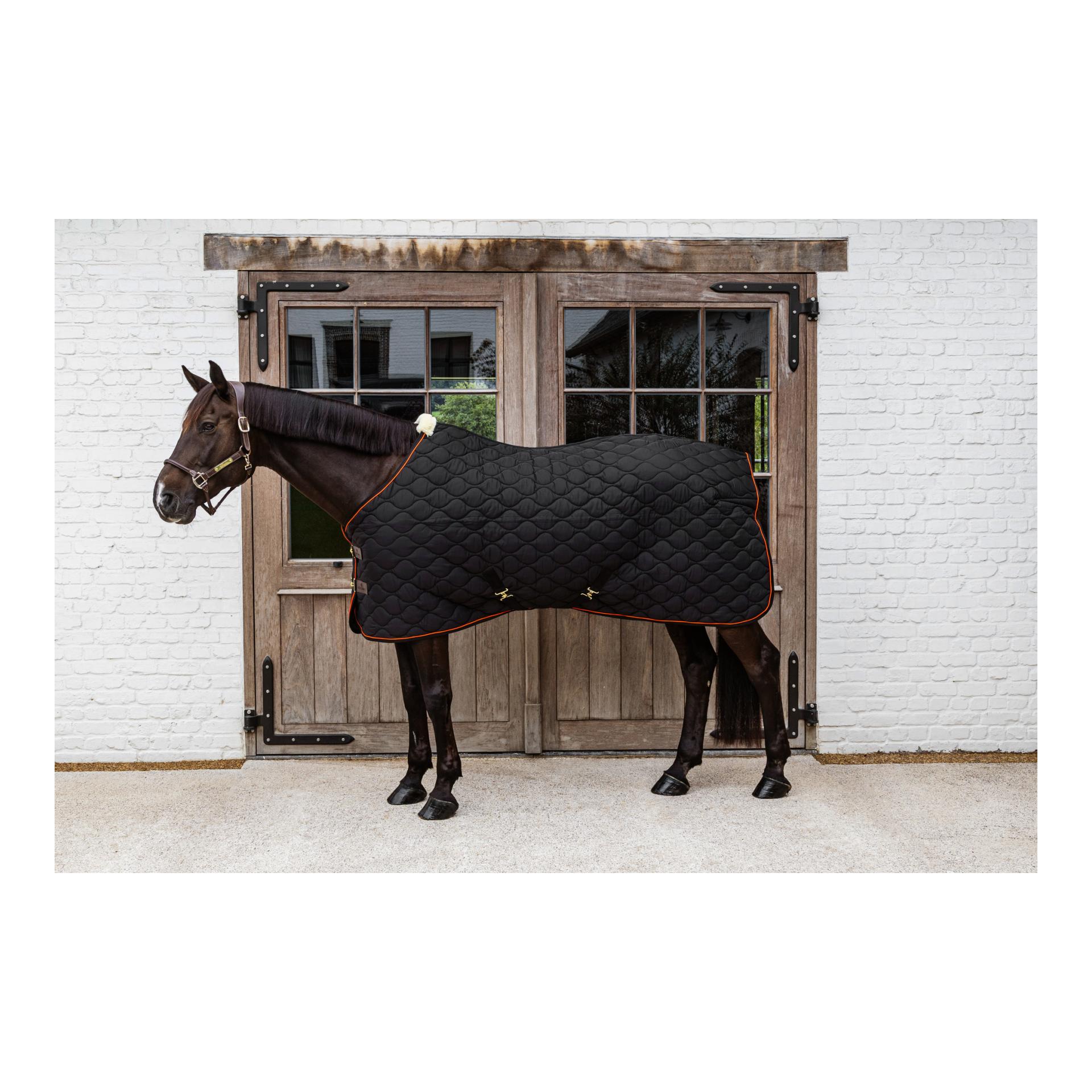 Kentucky Couverture d'écurie Wave 160g