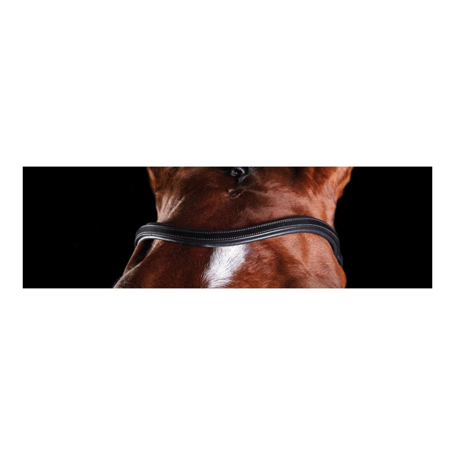 Bride Comfitec Training Bridle - noir