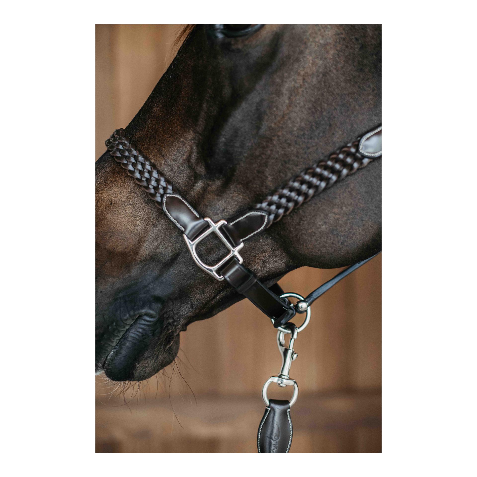 Halfter Plaited