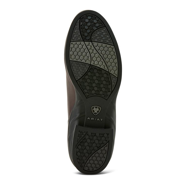 Ariat Stiefelette Heritage Zip Paddock