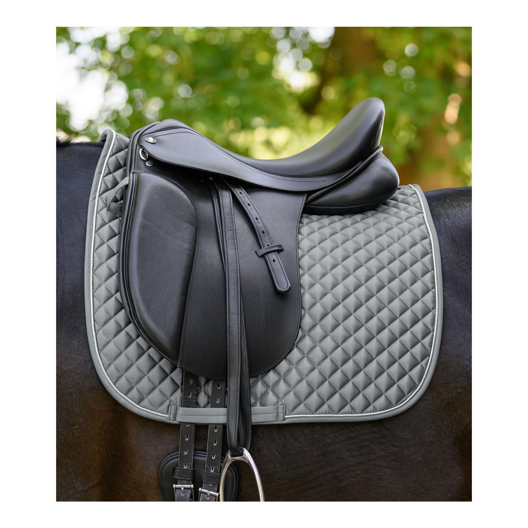 Waldhausen Chabraque Felix Glam