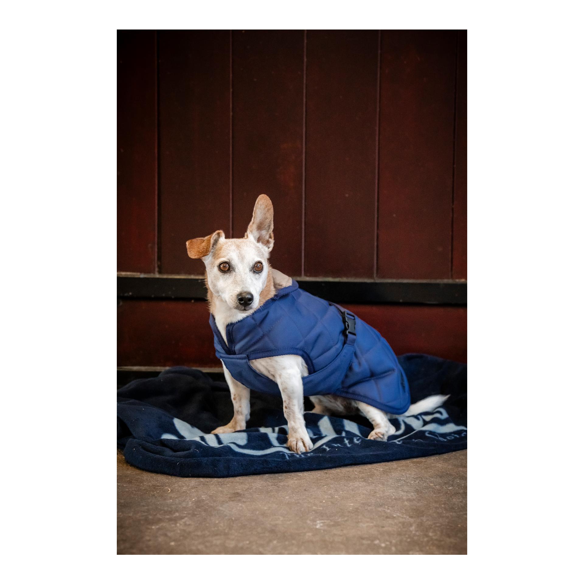 Bucas Hundedecke  Freedom Cosy
